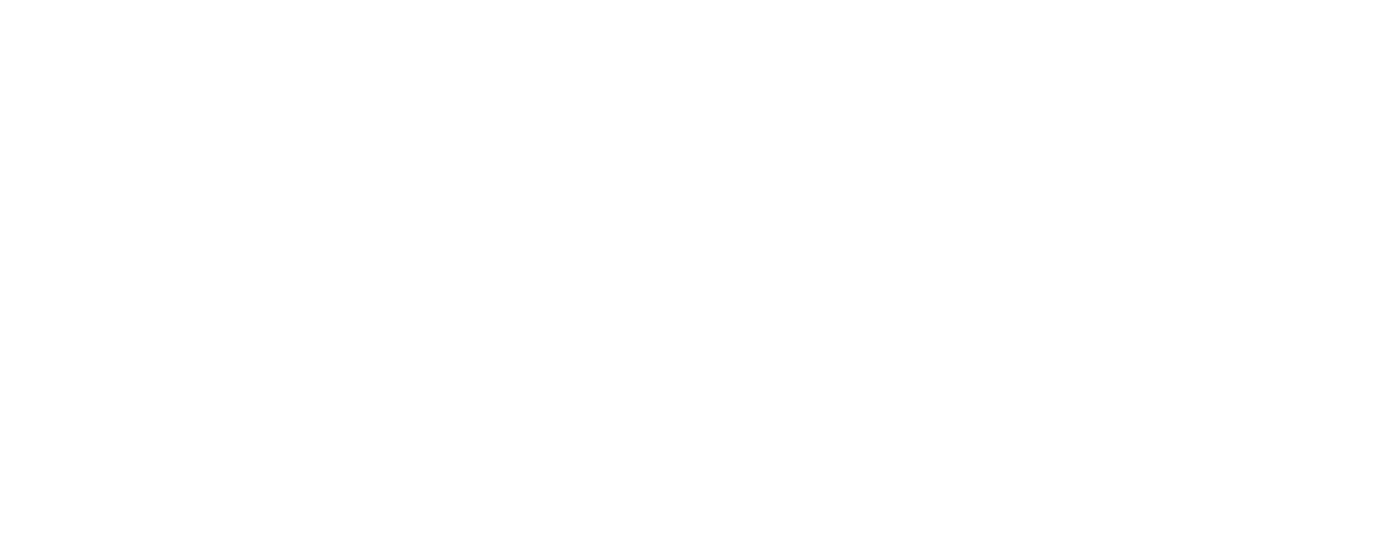 Diamond SPI logo